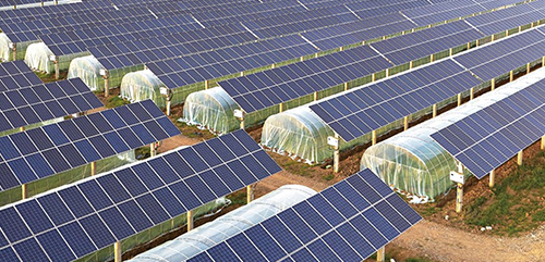 Agriculture solar energy
